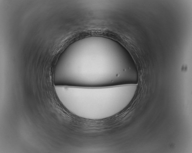 X0000111821252200907231015