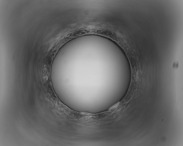 X0000111821253200907231015