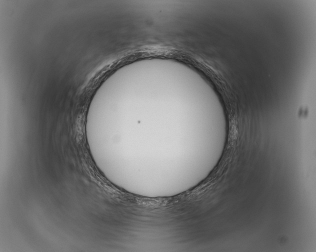 X0000111821254200907231015