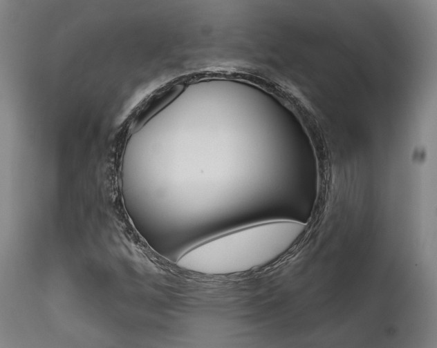 X0000111821256200907231015