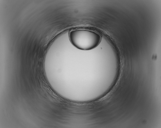 X0000111821257200907231015