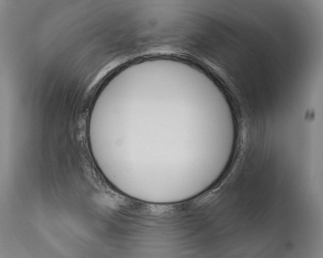 X0000111821258200907231015