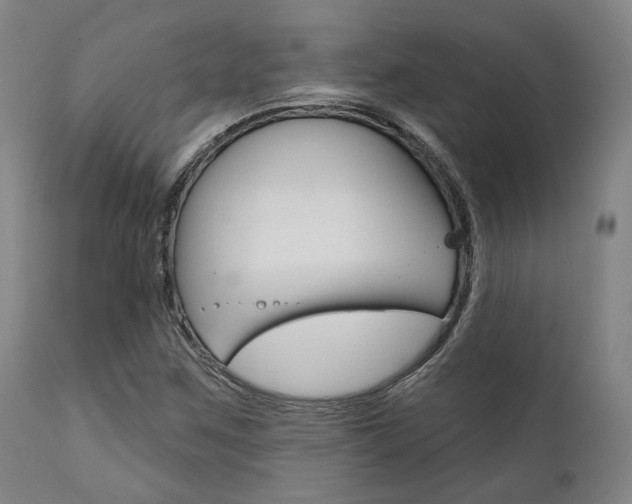 X0000111821259200907231015