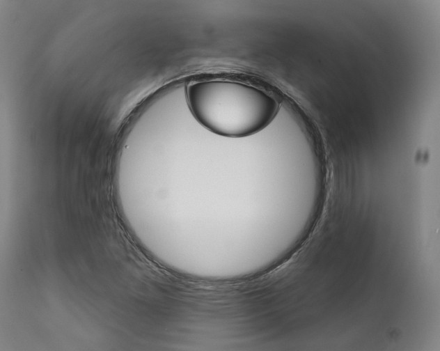 X0000111821261200907231015