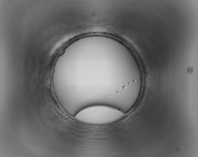 X0000111821262200907231015