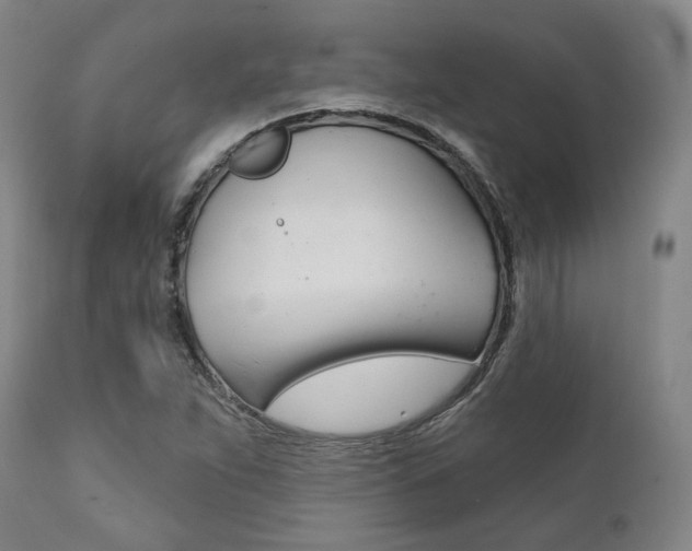 X0000111821263200907231015