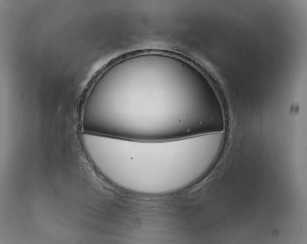 X0000111821264200907231015