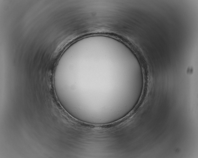 X0000111821265200907231015