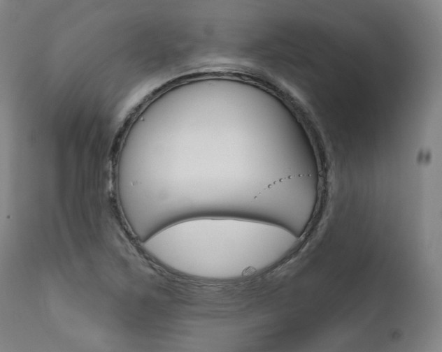 X0000111821267200907231015