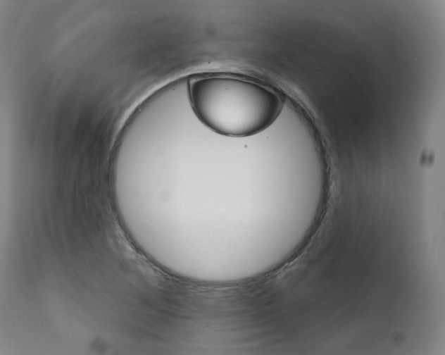X0000111821268200907231015