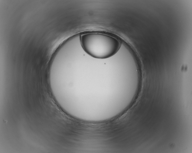 X0000111821269200907231015