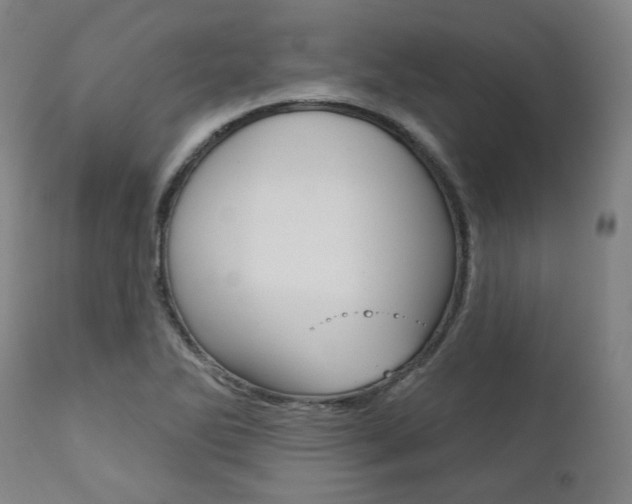 X0000111821270200907231015