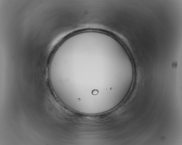 X0000111821271200907231015
