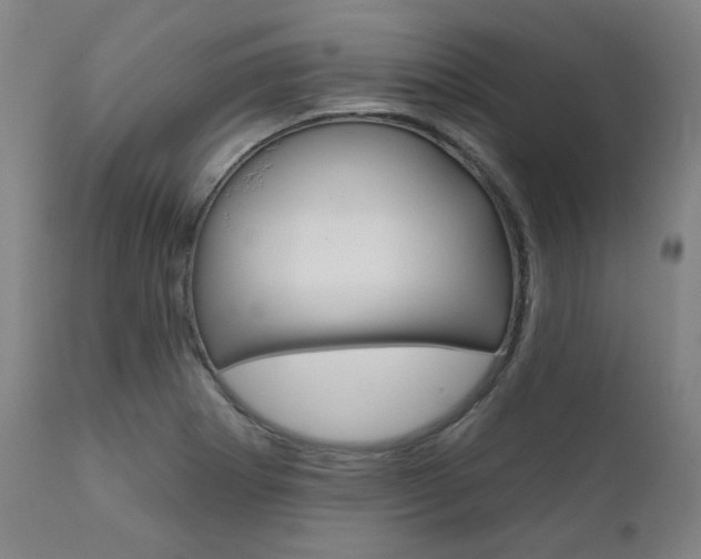 X0000111821273200907231015