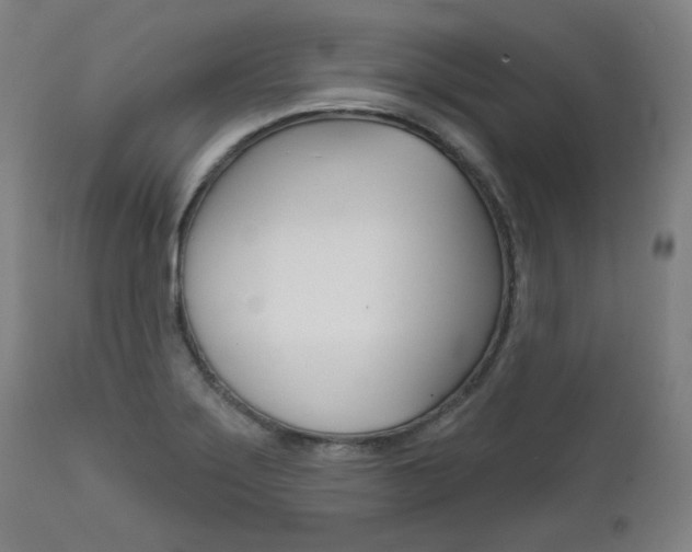 X0000111821275200907231015