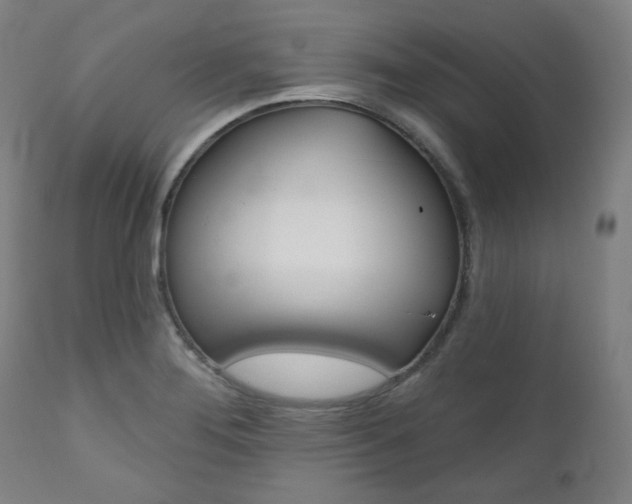X0000111821276200907231015