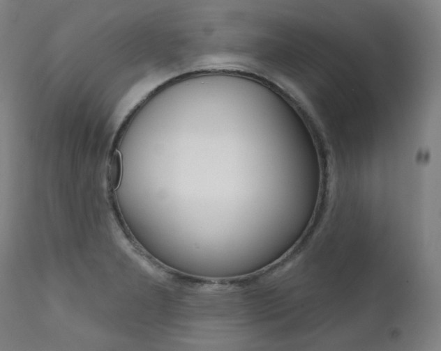 X0000111821277200907231015
