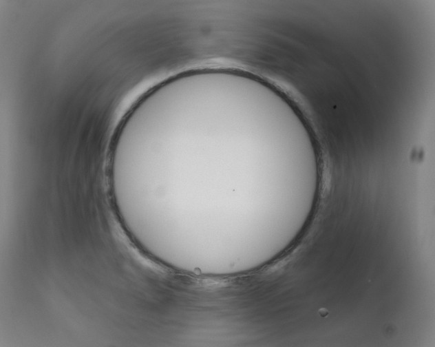 X0000111821278200907231015