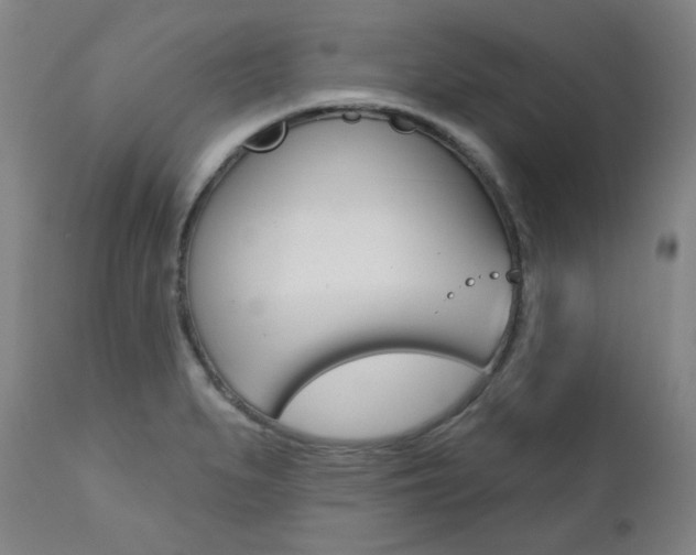 X0000111821279200907231015
