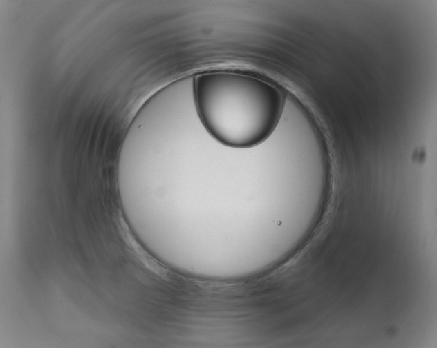X0000111821281200907231015