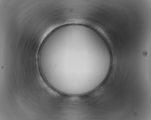X0000111821283200907231015