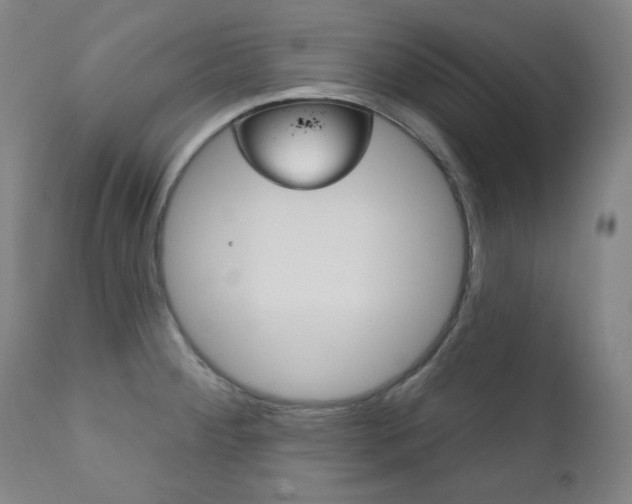 X0000111821284200907231015
