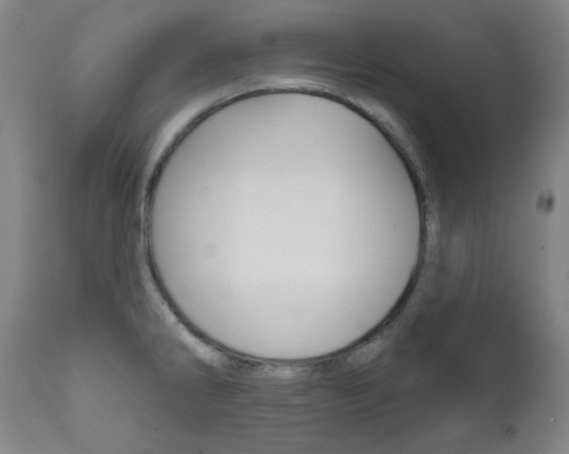 X0000111821286200907231015