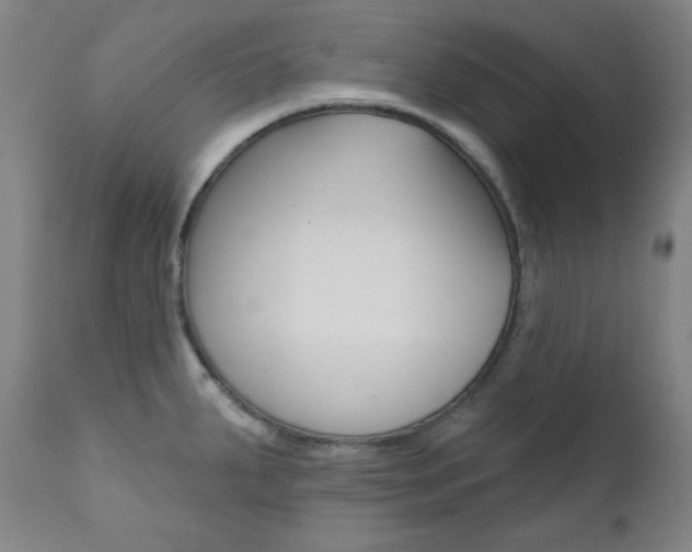 X0000111821287200907231015