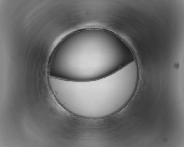 X0000111821288200907231015