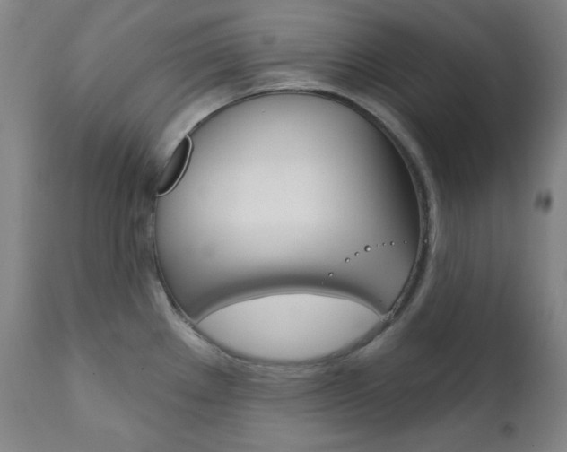 X0000111821289200907231015