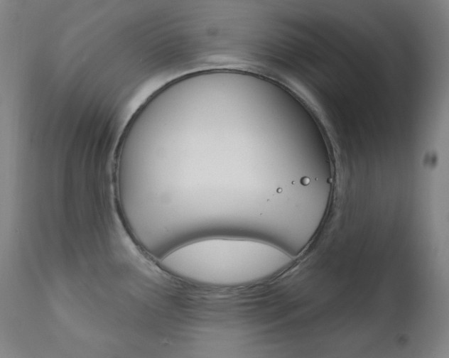 X0000111821291200907231015
