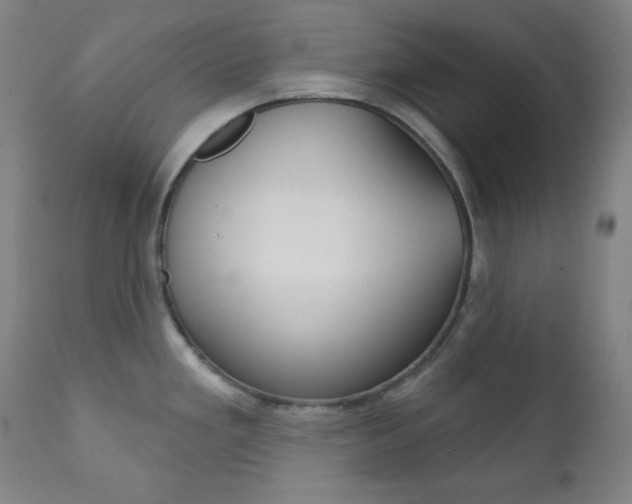 X0000111821293200907231015