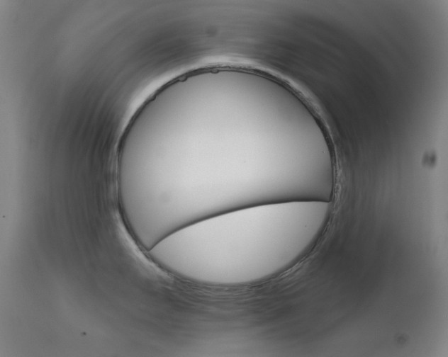 X0000111821295200907231015