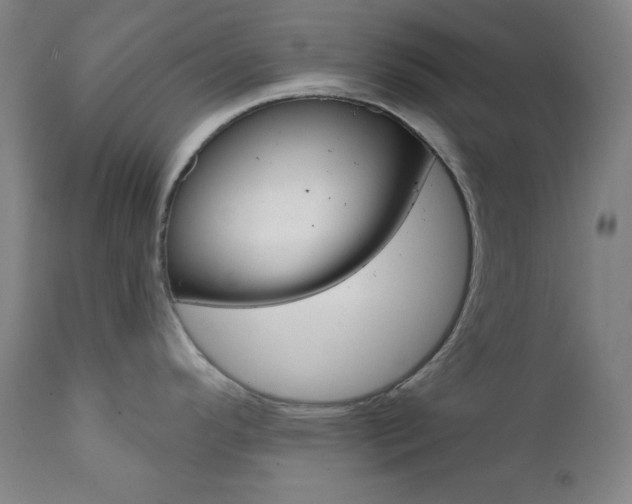 X0000111821296200907231015