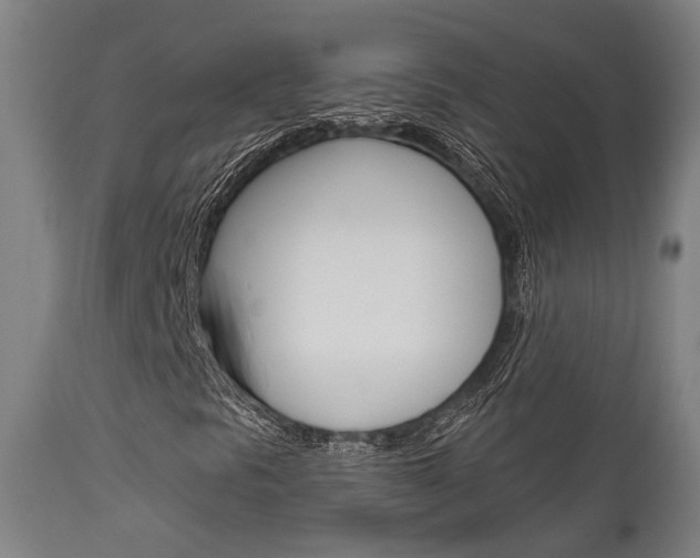 X0000111821297200907231014