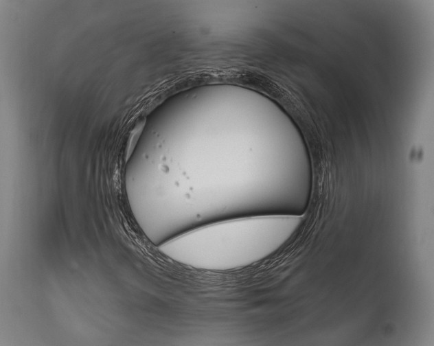 X0000111821298200907231014