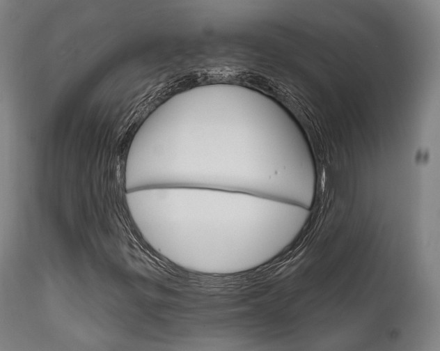 X0000111821299200907231014