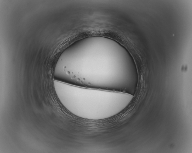 X0000111821300200907231014