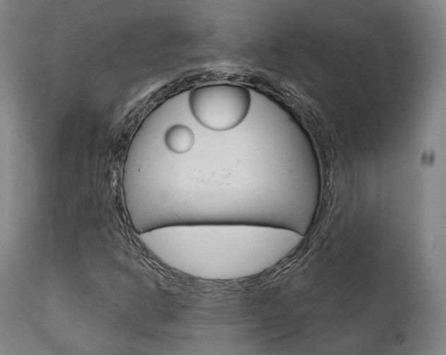 X0000111821302200907231014