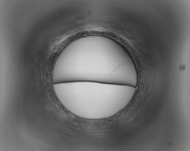 X0000111821303200907231014
