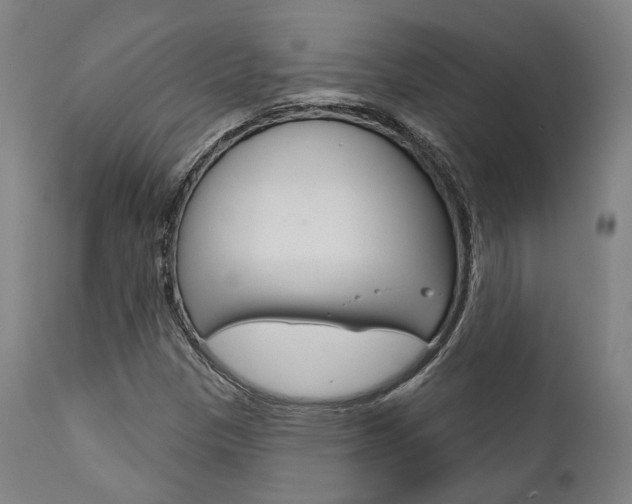 X0000111821305200907231014