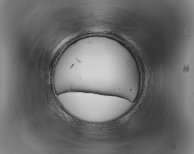 X0000111821306200907231014