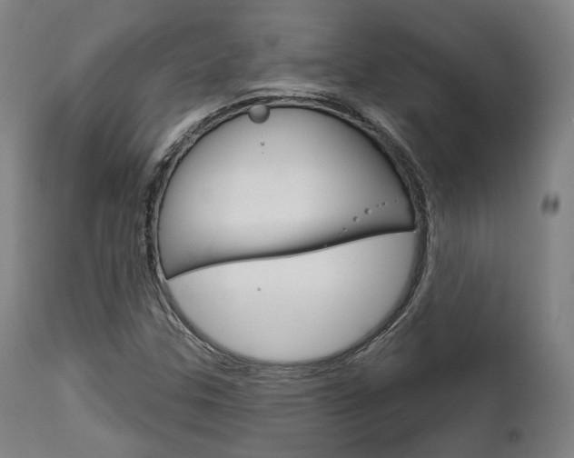X0000111821307200907231014