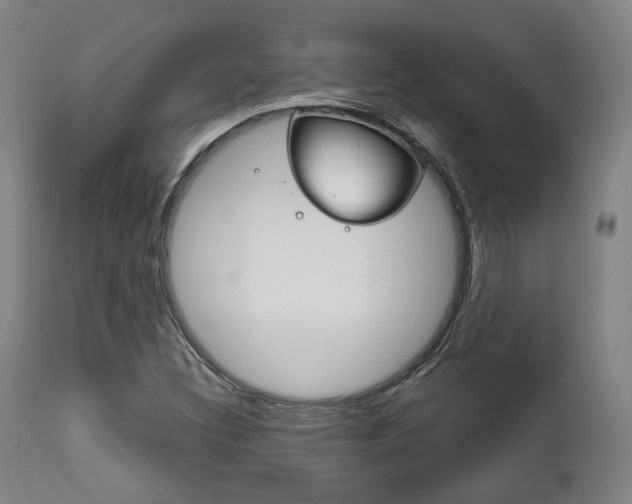 X0000111821308200907231014