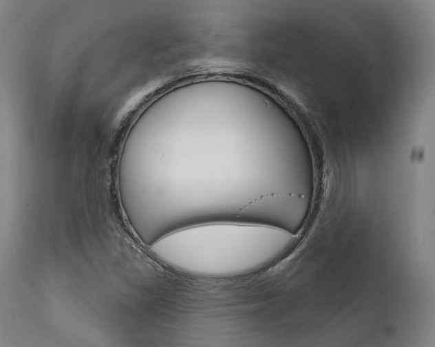 X0000111821309200907231014