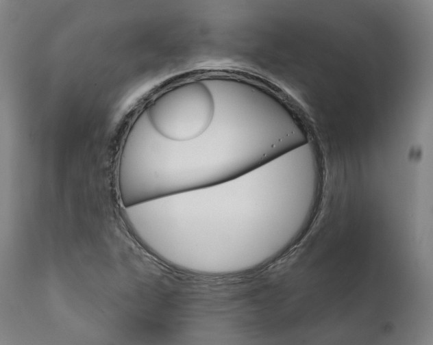X0000111821311200907231014