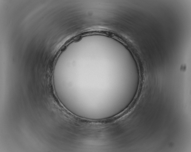 X0000111821313200907231014