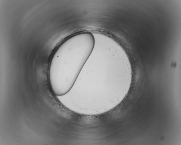 X0000111821314200907231014