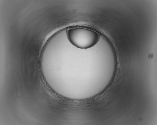 X0000111821316200907231014