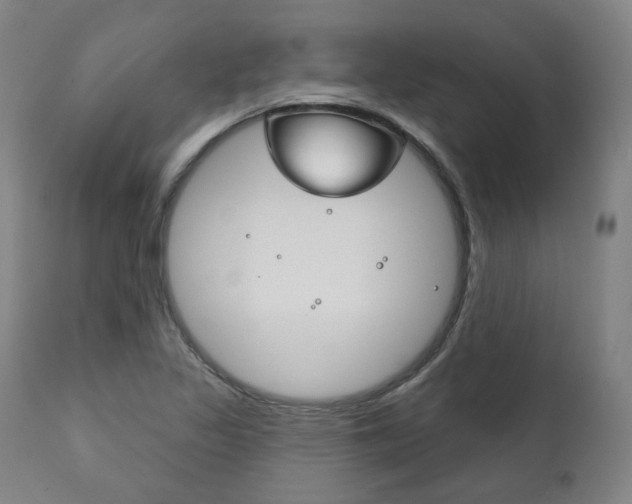 X0000111821317200907231014